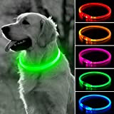 BSEEN Leuchtende Hundehalsbänder – Wiederaufladbares LED-Hundehalsband, leuchtendes Welpenhalsband, TPU-Schneidbares Hunde-Licht für kleine, mittelgroße und große Hunde (grün)