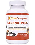 CaniComplete Gelenk Plus - Gelenktabletten für Hunde: Teufelskralle, MSM, Chondroitin, Glucosamin, Kollagen, Vitamin B, UVM. 120 Stück