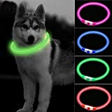 CCWW LED Leuchthalsband für Hunde USB Aufladbar LED Hundehalsband Stück hundehalsband Leuchtend Wiederaufladbares und Längenverstellbareres mit DREI Beleuchtungsmodi für Hunde ...