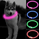 CCWW LED Leuchthalsband für Hunde USB Aufladbar LED Hundehalsband Stück hundehalsband Leuchtend Wiederaufladbares und Längenverstellbareres mit DREI Beleuchtungsmodi für Hunde ...