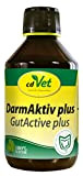 cdVet Naturprodukte DarmAktiv plus 250 ml - Hund, Katze - Ergänzungsfuttermittel - Stärkung des Immunsytsems - Unterstützung der Darmflora - ...