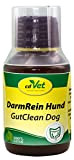 cdVet Naturprodukte DarmRein Hund 100 ml - Hund - Ergänzungsfuttermittel - Unterstützung der Futteraufnahme + der natürlichen Darmflora - Verdauungsstörungen ...