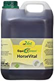 cdVet Naturprodukte EquiGreen HorseVital 2,5 Liter - Pferde - Leistungsfähigkeit - intakte Haut + glänzendes Fell - Verdauung - Stoffwechsel ...