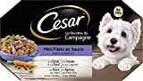Cesar Mahlzeit für Hunde – 24 Schalen (3 Packungen 8 x 150 g) – Nassfutter für Hunde in Saucen – ...