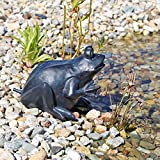 CLGarden Wasserspeier Figur Frosch für Teich Wasser Springbrunnen Teichfigur schwarz/anthrazit