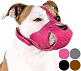 CollarDirect AmStaff Maulkorb für Hunde, aus echtem Leder, Staffordshire Terrier, Pink