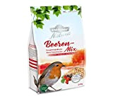 Dehner Premium Natura Wildvogelfutter, Beeren-Mix, schalenfrei, 2.4 kg