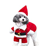 DELIFUR Haustier Weihnachtskostüme Hundeanzug mit Mütze Weihnachtsmann Anzug Hunde Hoodies Katze Weihnachtskostüme Partyanzug Warm im Winter (Rot,XL)