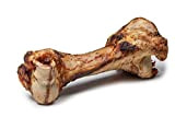 DIBO Mamut-Knochen, ca. 40cm, der kleine Naturkau-Snack oder Leckerli für Zwischendurch, Hundefutter, Qualitätskauartikel ohne Chemie