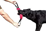 Dingo Gear Baumwolle-Nylon Beißwurst für Hundetraining mit Zwei Griff 28 x 7 cm Rosa S00311