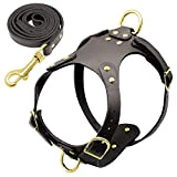 Dog Harness Vest Adjustable Genuine Leather Pet Dog Harness and Walking Leash Set for Small Medium Dogs Pug Beagle Brown
