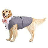 Dog Tuxedo, Smoking Hund Hochzeit Outfit Hunde Fliege Hochzeit S-XXL hundekostüm Kleine/Mittlere/Große Hunde Anzug(Grau, XXL)