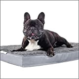 Dogoo® - Hundebett L | 435gm2 Fluffy Stoff für mittelgroße Hunde 90x70cm | Orthopädisches Kissen für Hunde, gut die Gelenke ...