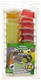 Dragon Terraristik Jelly-Food Mixed Pack 20 Stück a 16g, 1er Pack (1 x 320 g)