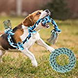 EASY JOY Hundespielzeug Große 2 Stück Robustes Seil Interaktives Spielzeug Dog Spiel für Starke Große Hunde, Baumwolle Tauziehen Seil Spielzeug ...
