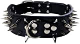Ecloud Shop Schwarzes verstellbares PU-Halsband für Hunde Bulldogge Pet Punk Spike Stud Nieten Halsband 56 * 5CM