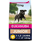 Eukanuba Hundefutter mit frischem Huhn für große Rassen, Premium Trockenfutter für Junior Hunde, 15 kg