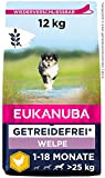 Eukanuba Welpenfutter getreidefrei mit Huhn für große Rassen - Trockenfutter ohne Getreide für Junior Hunde, 12 kg