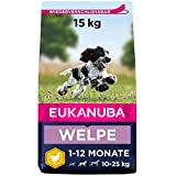 Eukanuba Welpenfutter mit frischem Huhn für mittelgroße Rassen, Premium Trockenfutter für Junior Hunde, 15 kg
