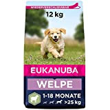 Eukanuba Welpenfutter mit Lamm & Reis für große Rassen - Trockenfutter für Junior Hunde, 12 kg