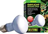Exo Terra Daylight Basking Spot, Breitspektrum Tageslichtlampe, R20, 25W, Fassung E27, 1 Stück (1er Pack)