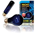 Exo Terra Night Heat Lamp, Mondscheinlampe für Reptilien und Amphibien, 100W, Fassung E27