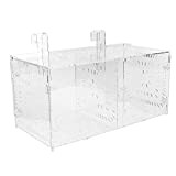 Fischzuchtbox Acrylfisch Isolierbox Fischsämlinge Inkubator Aquariumfisch Zuchtbox mit Isolierplatte für Babyfische Garnelen Clownfisch und Guppy(30 x 15 x 15 cm)