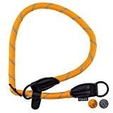 Floxik Retrieverhalsband orange | Robustes Dressurhalsband mit Zugstopp für mittelgroße und große Hunde, Halsumfang 30 - 60 cm, Ø 1,2 ...