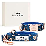 FREUDENTIER® Hundeleine (2m) und Halsband im wundervollen Set, Let's get Foxy Kollektion in exklusiver Geschenkbox, 3-Fach verstellbare Führleine, pflegeleicht & ...
