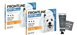 Frontline Spot on Hund S (2-10kg) Set mit 2 x 6 Ampullen und Einer Handseife ODER Handcreme der Marke Apotheken-Express