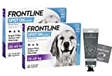 Frontline Spot on Hunde L 20-40 Kg Sparset mit 2 x 6 Ampullen und einer Handcreme ODER Handseife von Apotheken-Express