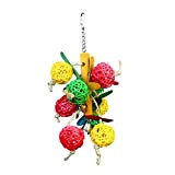 Funny Pet Parrot Bird Toys Balls Aras African Greys Wellensittiche Käfig Bite Spielzeug mit Glocke