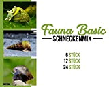 Garnelen Schnecken Mix - Fauna Basic - Aquarium Schnecken - Bodenpflege Trupp, Menge:6 STK.