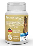 Gelenktabletten Hund - TESTSIEGER Made in Germany Gelenktabletten für Hunde mit Grünlippmuschel Hund, MSM und Teufelskralle - Keine Kapseln, hohe ...