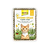 GimCat Hydro-Gras - Frisches Katzengras aus kontrolliertem Feldanbau in nur 5 bis 8 Tagen - 1 Schale (1 x 150 ...