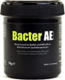 GlasGarten Bacter AE Inhalt 70 g