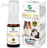 GLOBAL NATUREON® Cannabi Pets Öl 500 mg (30 ml) auf Lachsölbasis, Beruhigungsmittel für Hunde und Katzen, Tropfen gegen Angst, Stress ...