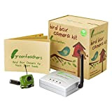 Green Feathers Vogelbeobachtungskamera mit Nachtsicht, kabelloser Empfänger, 700 TVL, Video und Audio, perfekt für Ihren Garten, Titan, grün, Nistkästenwith 10m ...