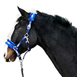 Halfter für Pferde Fell Halfter unterlegt Halfter blau in den Größen xfull Halfter, Pony, Cob, Warmblut (Pony, Blau)
