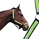 Halfter für Pferde Kaltblut stabiles Reflexhalfter für Sichtbarkeit & Sicherheit, Reflexartikel Pferd 2 Fach verstellbar (XFull (Kaltblut), Schwarz-Gelb)