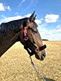 Halfter mit Fell Halfter für Pferde weich gepolstert, in den Größen Pony Warmblut Cob Kaltblut (Kaltblut, Schwarz-Rot)