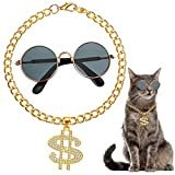 Haustier Accessoires Set Klein Rund Sonnenbrillen und Goldkette für Hunde Katze Retro Haustier Brillen Katze Halskette Halsband Halloween Weihnachten Party ...