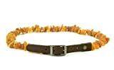 Haustierhalsband mit verstellbarem Lederband, 20–65 cm, natürlicher Floh- und Zeckenschutz, mit echten ungeschliffenen Perlen aus Baltischem Bernstein