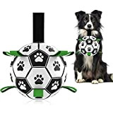 HETOO Interaktives Hundespielzeug, Fußball, mit Greif-Laschen, langlebige Hundebälle für kleine und mittelgroße Rassen, Wasserspielzeug, geeignet für drinnen und draußen