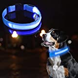 HezzLuv Hundehalsband Leuchtend Aufladbar, Leuchthalsband Hund, Led Halsband Für Hunde Leuchtband Hund Einstellbare Größe, DREI Lichtmodi Sicherheit, Für Kleine Mittlere ...