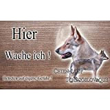 hier wache ich hund Tschechoslowakischer Wolfhund 15 / 9,5 cm