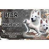 hier wache ich hund Weisser Schweizer Schäferhund 20 / 12,5 cm