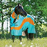 Horseware Amigo Evolution - Aqua/Orange