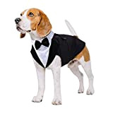 Hund Hochzeit Anzug, Smoking-Kostüme Formelle Party-Outfits Shirt Hund Kleidung Tuxedo Hundefliege Hochzeit mit Abnehmbarem Schleife Bandana für Kleine, Mittlere und ...
