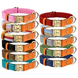 Hundehalsband Personalisierte Haustier Hundehalsbänder aus Nylon verstellbar Halsband mit Namen,Nummer or Adresse gravieren